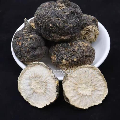 光学显微镜下黑玛卡块根横切面,显示富含淀粉粒的薄壁组织与分散的维管束;箭头指示细胞间隙扩大区域——此结构在沸水作用下加速重金属离子溶出 黑玛卡块根横切面显微结构图