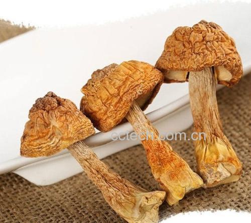 左侧为淡黄色条状干鹿茸菇,菌丝清晰呈毛茸状;右侧为深褐色片状干海带,表面有白色盐霜,质地较脆。背景为木质砧板,旁边放置陶瓷碗和剪刀,体现厨房场景 干鹿茸菇与干海带实物对比图