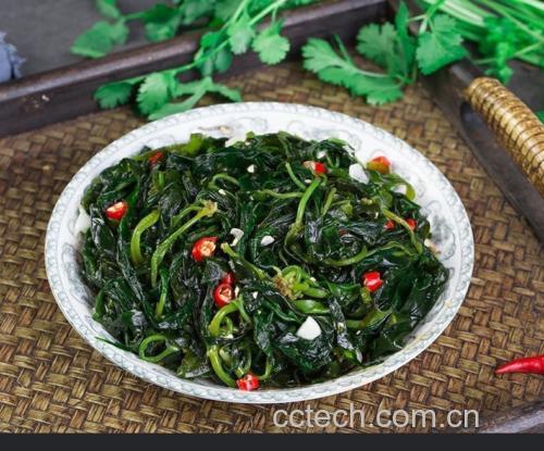 摆盘精美的凉拌西兰花根丝,色彩鲜艳,根丝分明,香气扑鼻 凉拌西兰花根丝成品图
