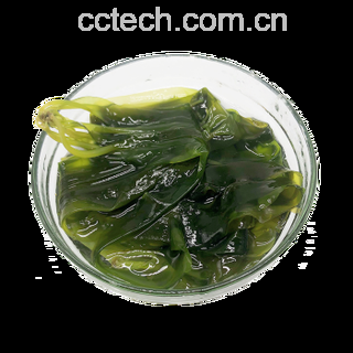 高清横切面摄影:酥锅从顶层鸡蛋到底层海带垂直切开。清晰展示7层结构——顶层溏心蛋、中层五花肉与豆腐、底层透亮琥珀色干海带(厚度均匀、纹理舒展、无碎渣)。酱汁浓稠挂壁,海带边缘微微卷曲,呈现完美‘酥而不烂’状态。背景虚化,焦点锐利。 酥锅成品横切面特写