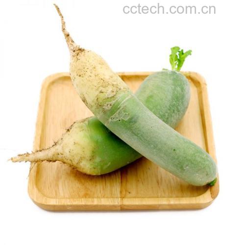一张长方形木托盘上摆放着多个小碗,中央为主碗盛放香芹蘸酱,周围环绕着装有胡萝卜条、小番茄、西兰花、紫薯块和坚果的分格小碟,整体布局对称美观,体现健康轻食主题 香芹蘸酱搭配多种食材的摆盘效果