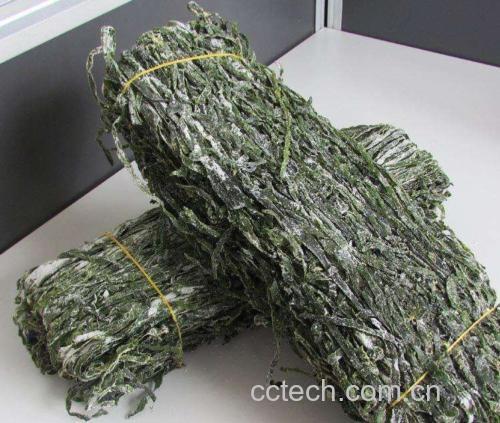 正在蒸锅中蒸制的干海带段 干海带蒸制过程图