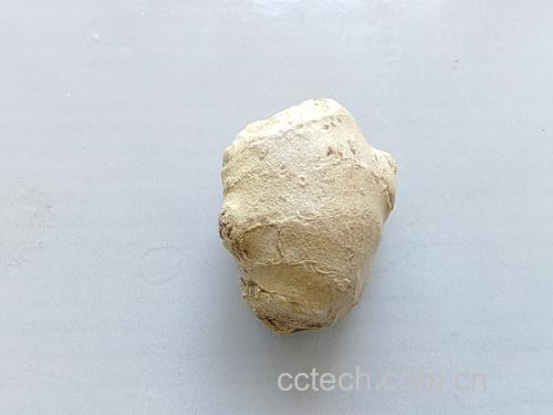姜黄粉与黑胡椒粉混合示意图