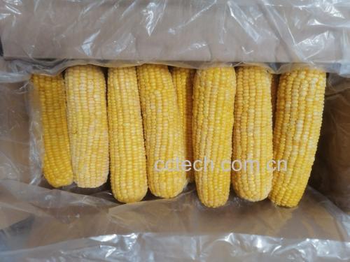 一碗色彩丰富的玉米粒沙拉,包含玉米粒、生菜、黄瓜和圣女果,淋上沙拉酱,摆盘精致 玉米粒沙拉成品图