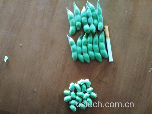 图片说明:新鲜黄瓜切片与带壳毛豆并列摆放,展示两种农产品的自然外观 黄瓜与毛豆拼盘图