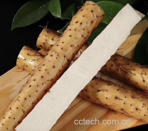 白玉山药切开后呈现出细腻的乳白色组织 白玉山药切片展示内部质地