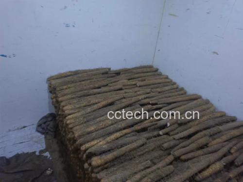 展示新鲜白玉山药的外观细节 白玉山药特写