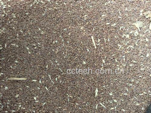 柱状图展示小扁豆与大米、燕麦、红豆在蛋白质、膳食纤维、铁、叶酸含量上的对比数据 小扁豆与其他谷物营养对比图
