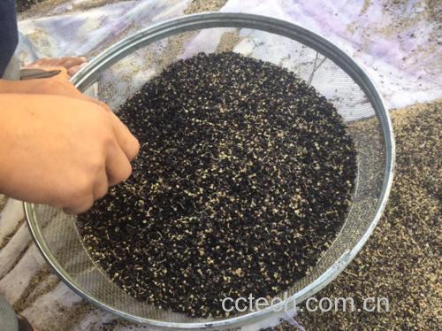 展示枸杞泡水的具体操作步骤,包括枸杞量取、温水冲泡和最后食用过程 枸杞泡水步骤示意图