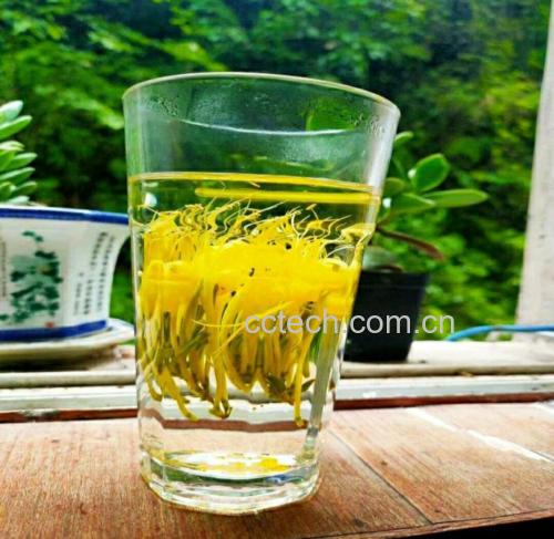 桂花茶成品图