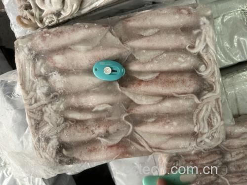 展示冷冻花蛤解冻、吐沙、清洗和烹饪全过程的图示 冷冻花蛤的处理与烹饪