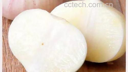 独头蒜生食标准化流程图:洗净去皮→切薄片→静置10分钟→搭配蜂蜜或苹果片 独头蒜生食正确操作步骤示意图:1.洗净去皮;2.切薄片;3.平铺于瓷碟静置10分钟;4.搭配蜂蜜或苹果片中和刺激性