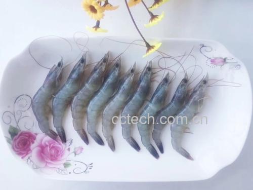 一位家庭主妇将一盘刚蒸好的南美白对虾端上餐桌,虾体呈粉白色,表面淋有光泽油汁,点缀着金黄酥香的姜葱丝,背景为温馨餐厅灯光,一家人正准备用餐 图片描述