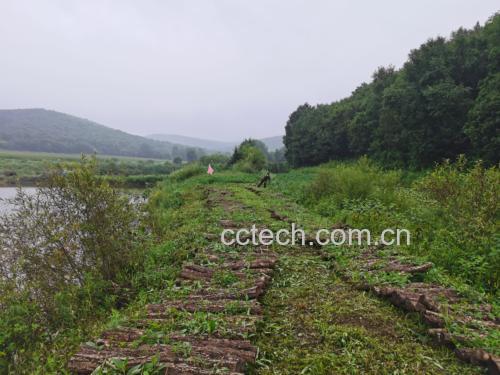 图片展示了黑玛卡在秘鲁安第斯高海拔地区的自然生长环境,阳光充足、气候寒冷,为其营养积累提供了良好条件 黑玛卡种植环境实景