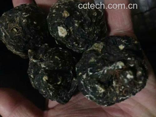 第三方检测机构SGS出具的秘鲁黑玛卡粉检测报告高清特写:重点标出macamides 0.92%、glucotropaeolin 1.38%、重金属铅<0.05mg/kg、微生物总数<1000CFU/g等关键参数,报告编号SGS-CN-2024-MACA-8872 黑玛卡活性成分检测报告特写