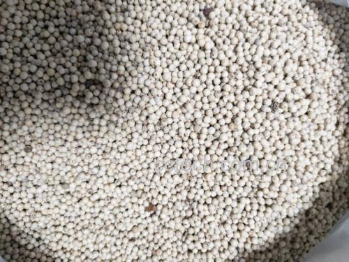 白胡椒粒特写展示其颗粒饱满、色泽洁白的特征 白胡椒粒特写