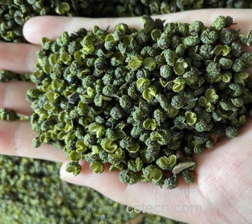 白胡椒与黑胡椒、辣椒粉等香料的形态与用途对比 白胡椒与其他香料对比图