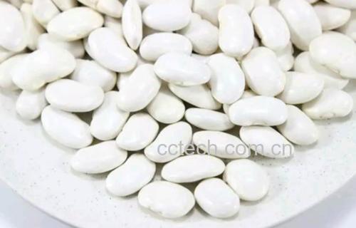 展示豆浆冷饮、搭配粥品、甜品等不同吃法的摆盘效果 豆浆的多种吃法展示