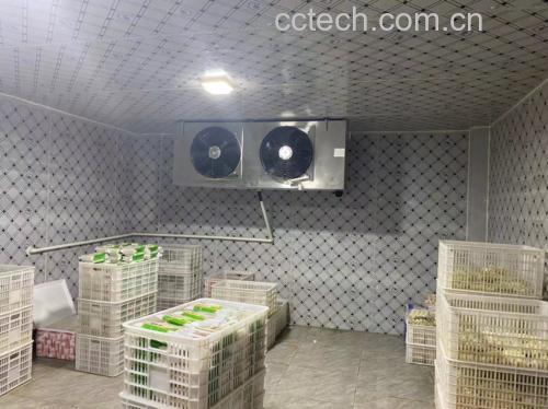 使用破壁机打浆并加热煮沸的过程,展示豆浆的细腻质地 打浆与加热过程