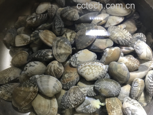 花蛤处理过程图解