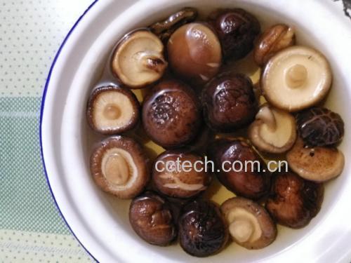 展示正在炖煮的香菇和平菇汤品 香菇平菇炖汤场景图