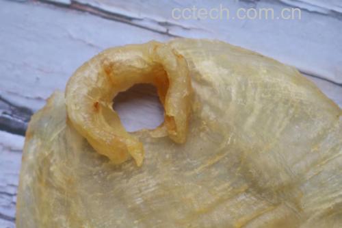木瓜煲鲫鱼成品图