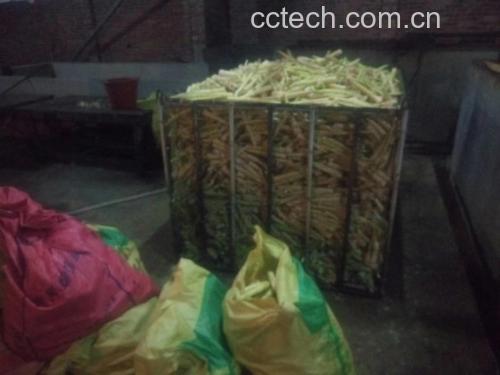一位家庭主妇在厨房操作台前将煮熟的雷竹笋切成片状,旁边摆放着密封袋和标签笔,正在准备将其分装入袋,背景可见冰箱和锅具,体现日常家庭储存流程 家庭厨房中冷冻雷笋的操作场景