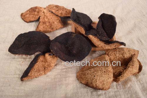陈皮与白扁豆搭配煮汤的厨房场景,展现食材搭配的实用方式 陈皮与白扁豆搭配煮汤场景