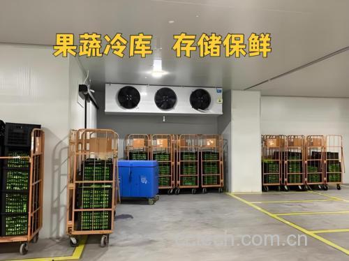 一个厨房场景中的桌面,左侧放着刚购买的紫红色山竹,中间展示用白色纸巾包裹山竹的过程,右侧是一个透明密封保鲜盒,里面装有包好的山竹,旁边标注‘冰箱冷藏4-6℃’字样,背景为开放式冰箱门,清晰可见冷藏区温度显示 山竹家庭储存示意图