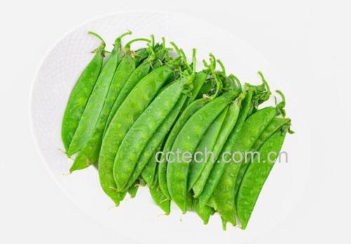 一盘新鲜采摘的绿色荷兰豆,豆荚饱满、色泽鲜亮,表面光滑无斑点,背景为田园农场环境,阳光照射下显得生机勃勃 荷兰豆特写