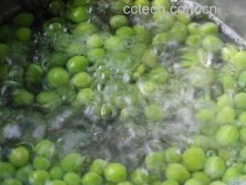 一口不锈钢锅中正在沸腾的水中漂浮着翠绿色的荷兰豆,水面泛起细小气泡,旁边放着一碗冰水,展示‘焯水后迅速冷却’的操作流程,背景虚化 荷兰豆焯水过程特写