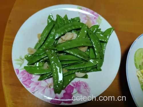 新鲜翠绿的荷兰豆整齐摆放在白色瓷盘中,旁边是一段洗净去皮的白嫩莲藕,背景为木质厨房台面,自然光线柔和 荷兰豆与莲藕新鲜食材摆放特写