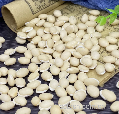 一张中药台面展示白扁豆花与其他中药材的搭配,包括荷叶、茯苓、山药、莲子等,旁边放置陶瓷茶壶和茶杯,显示其作为药膳材料的应用场景,整体风格古朴典雅 白扁豆花药用搭配示意图