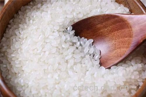 一碗热腾腾的山药白扁豆粥,旁边摆放着木质勺子和山药片、白扁豆点缀 山药白扁豆粥成品图