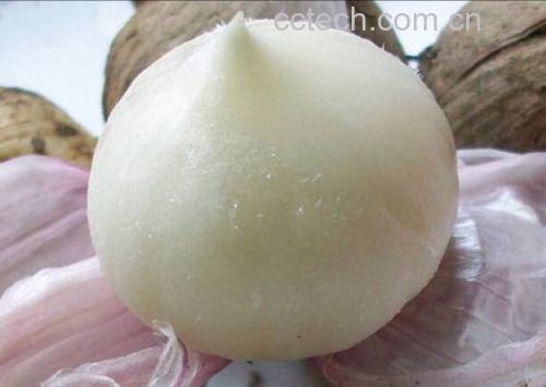 一颗完整的独头蒜,外皮呈淡紫色,表面光滑,剥开部分露出洁白紧实的蒜肉,背景为木质砧板,旁边有一把小刀,展示其与其他多瓣大蒜的区别 独头蒜特写照片