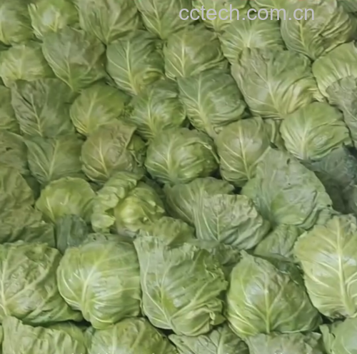 展示羽衣甘蓝叶片、黑芝麻奇亚籽、新鲜豆子和搅拌机,突出原材料的新鲜与天然 羽衣甘蓝奇亚籽豆浆食材组合图