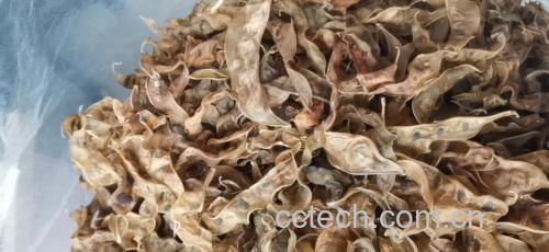 白扁豆与绿豆、薏米搭配的汤品示意图,突出清热祛湿食谱理念 白扁豆与其他清热食材搭配示意图