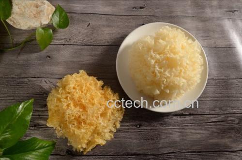 新鲜银耳一朵呈淡黄色、质地柔软,旁边摆放两个翠绿带柄的新鲜香梨,背景为木质砧板与白色瓷碗,光线柔和自然,突出食材原生态质感 银耳与香梨食材摆盘图