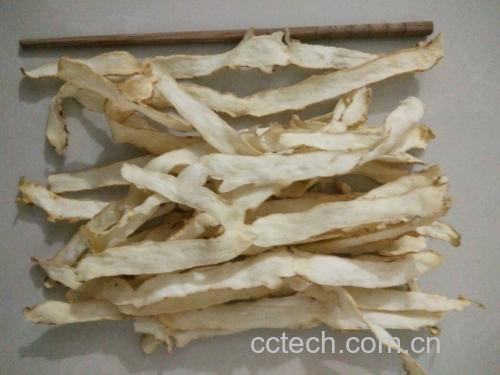 中医体质辨识图表示意不同体质对山竹的适应性