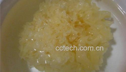 两张对比照片:左侧为冷水泡发8小时后的银耳,朵大饱满、质地柔软;右侧为热水泡发30分钟的银耳,边缘软烂、中心仍硬结 冷水泡发对比图
