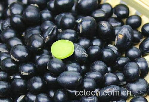 信息图表展示一杯200ml黑豆煮水的主要营养成分:花青素120mg、大豆异黄酮45mg、可溶性膳食纤维3.2g、皂苷类物质8mg、热量约40kcal;配以分子结构示意图和紫红色渐变背景,突出其抗氧化特性 黑豆水营养成分解析图表