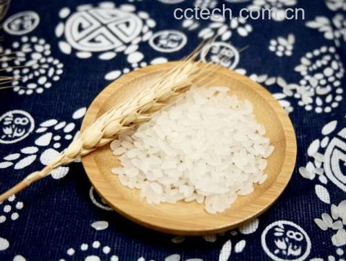 四个白色瓷盘分别盛放:蒸熟的紫红色香芋块、白米饭、黄玉米粒、即食燕麦粥,背景为木质餐桌,自然光线照射,突出颜色和质地差异 蒸煮后的香芋块与米饭、玉米、燕麦并列摆放的对比图