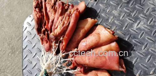 白扁豆与猪蹄原材料摆盘图,清晰展示所需食材及处理前后对比 白扁豆炖猪蹄食材准备图
