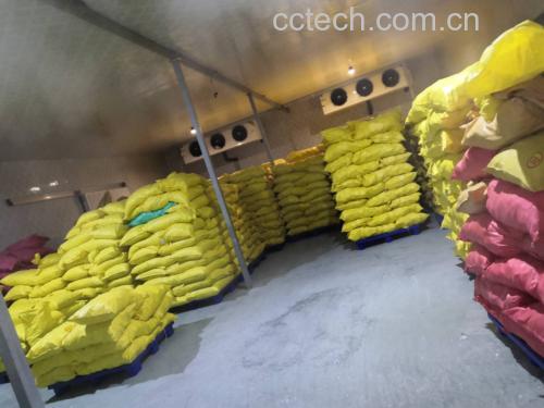 香芋储存在阴凉干燥处的示意图,展示纸箱中整齐摆放的完整香芋 香芋正确储存方法示意图