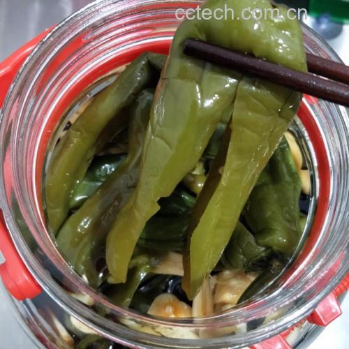 传统水封玻璃坛泡椒发酵实景:坛体洁净无水渍,辣椒完全浸没于清澈微黄卤水中,水槽内水面平静无缺口,体现稳定厌氧环境 玻璃泡菜坛内泡椒层次分明:底层姜蒜花椒清晰可见,中层辣椒红艳挺立,液面平静无气泡,坛沿水封完整,背景为木质料理台与阳光斜射