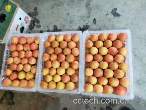 木质托盘上陈列多种南果梨深加工产品,包括透明包装的冻干南果梨片、深褐色的南果梨醋瓶、玻璃罐装南果梨膏和礼盒装鲜果,背景为乡村风格厨房橱柜 南果梨加工产品展示图