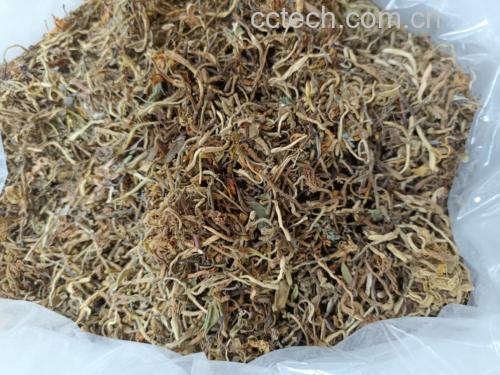 并列两组金虫草样品对比:左侧为高品质金虫草,子实体完整,颜色自然金黄带红帽,排列整齐;右侧为劣质产品,颜色暗淡发灰,部分断裂霉变,基质残留严重;中间放置一份检测报告复印件,清晰显示虫草素、多糖含量及安全指标合格信息 金虫草品质对比图