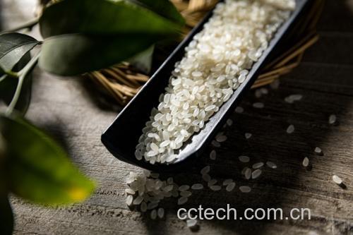一张餐桌上的三只白色瓷碗,分别盛有黑豆糙米饭、黑豆小米粥和清炒西兰花,碗边摆放竹筷和木勺,背景虚化体现家庭用餐氛围 黑豆与谷物搭配图