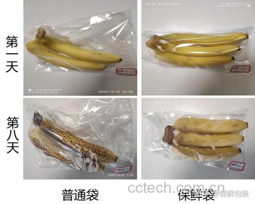 一张对比实验照片,分为三列:左侧为常温第5天山竹,果皮严重皱缩发黑;中间为冷藏第7天山竹,果皮略皱但整体完整;右侧为冷冻解冻后的果肉,颜色微黄但结构完整;下方标签注明保存条件与天数,背景为实验室白色操作台,强调不同保存方式的效果差异 山竹保存时间对比实验图