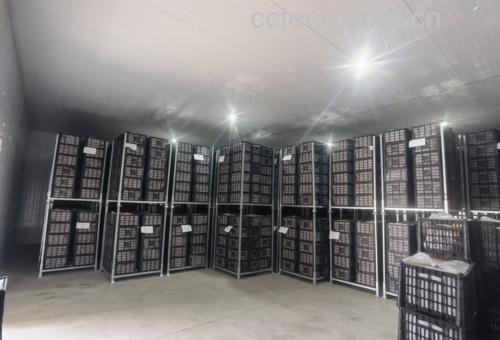 现代超市生鲜区,冷柜中整齐陈列多个香梨,部分果实贴有价格标签,背景可见其他水果品类,环境整洁明亮,体现商品化流通场景 超市货架上摆放整齐的香梨,部分带有包装标签